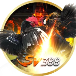 sv388-sabong