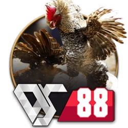 sv388-sabong