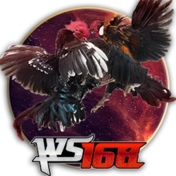 ws168-sabong